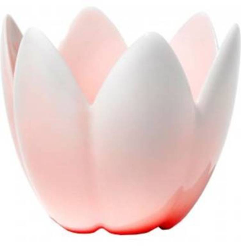 Lotus fruit bowl by Stefano Giovannoni from Alessi