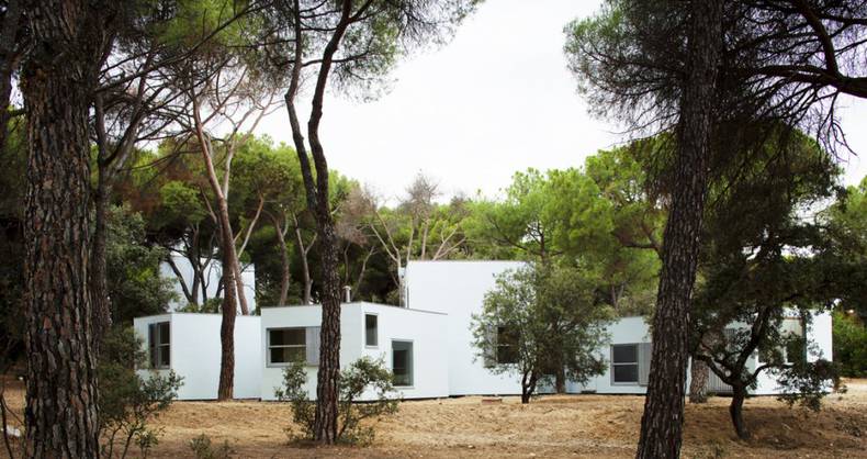 MO House among the Trees by FRPO