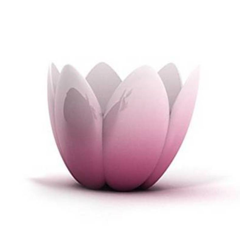 Lotus fruit bowl by Stefano Giovannoni from Alessi
