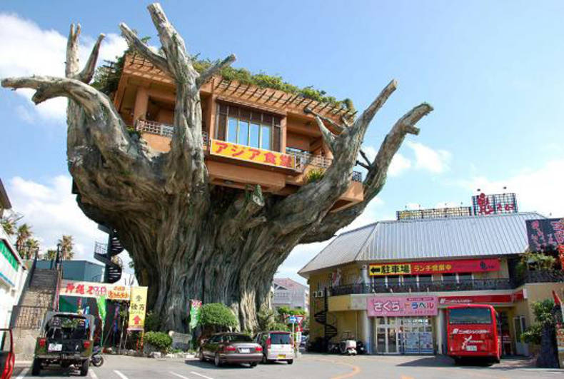 Audacious Japanese Treehouse Cafe