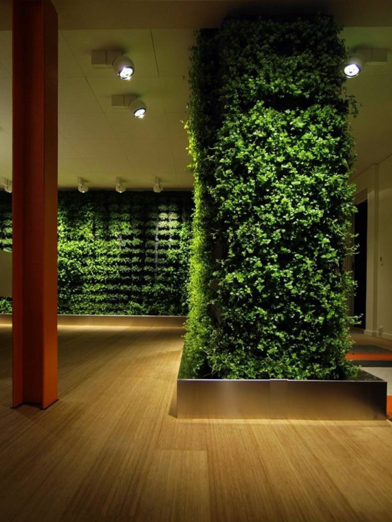 Make Your House Green and Flourish with Greenwalls