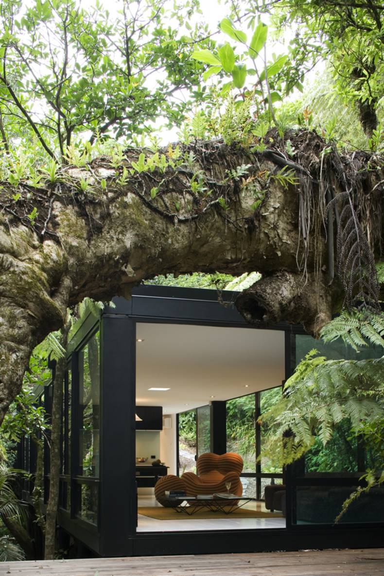 'Forest House' Hugged by Trees:  Chris Tate Architecture 