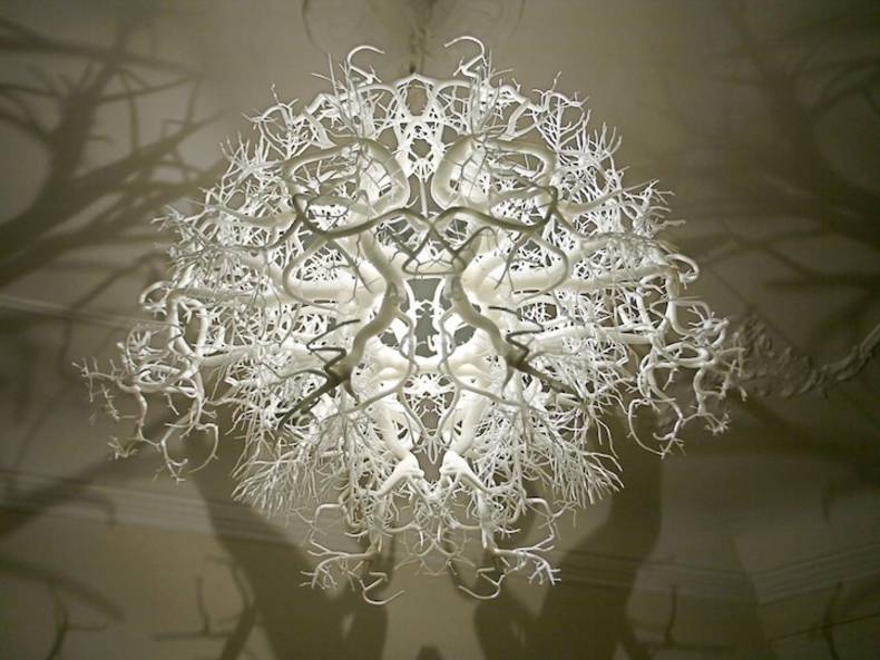 “Forms in Nature” Lamp, Casting Unusual Shadows, by Thyra Hilden and Pio Diaz
